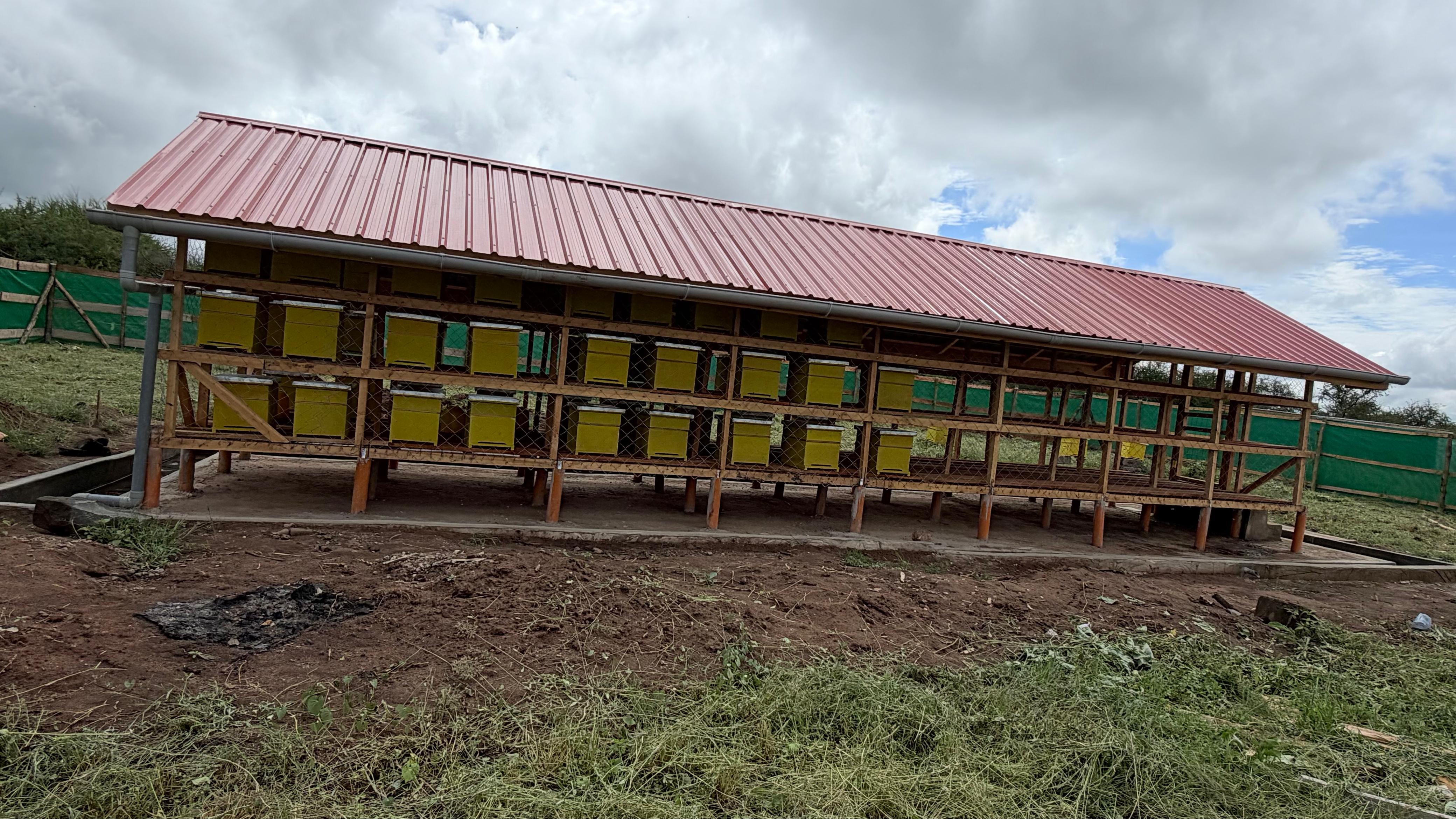 Wasili Farm beekeeping — one of the sources of Oak Organic Honey